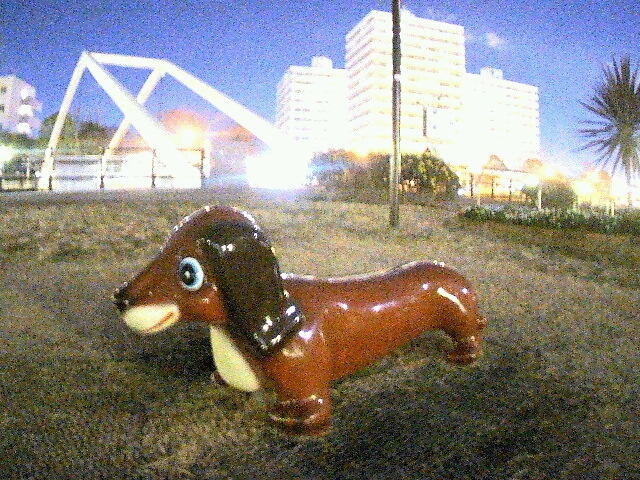 高感度画像