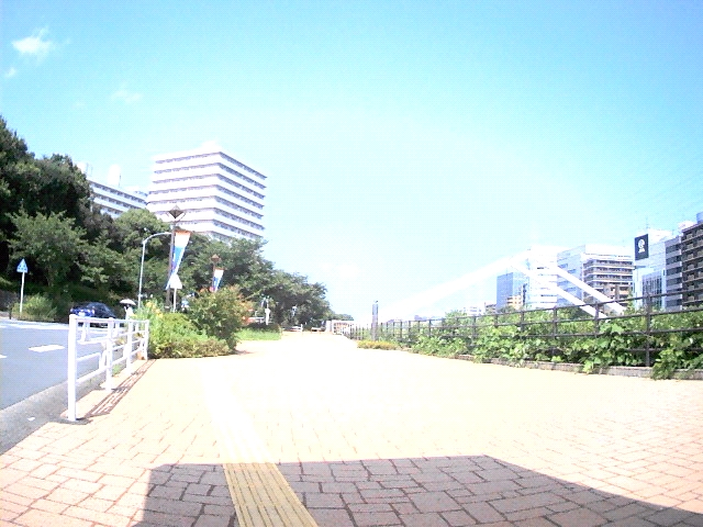 MCS-W225フィルタあり
